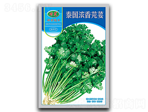 ̩������ܾݴ-ܾݴ�N��-��ʢ�@