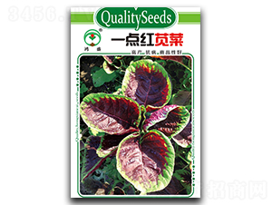 һ�c�t�{��-�{�˷N��-��ʢ�@