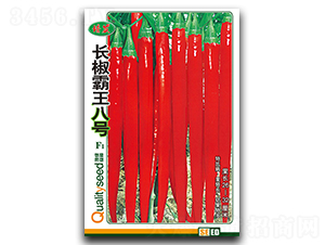 �L��������̖-�����N��-��ʢ�@