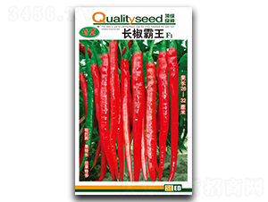 �L������-�����N��-��ʢ�@