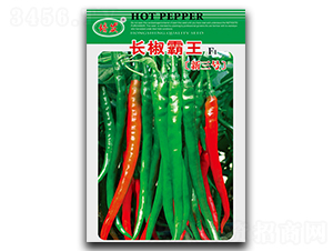 �L����������̖-�����N��-��ʢ�@