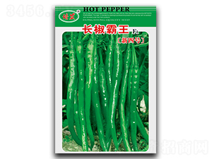 �L����������̖-�����N��-��ʢ�@