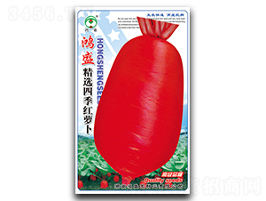 ���x�ļ��t�}��-�}���N��-��ʢ�@