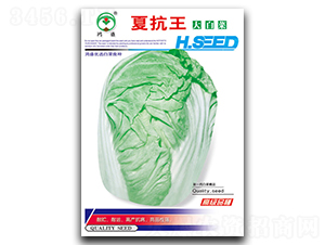 �Ŀ���-�ײ˷N��-��ʢ�@