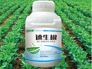 ������-�ñ�¡-�r(n��ng)�����S