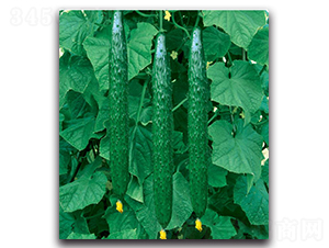 S45-�S�ϷN��-�����o�N��