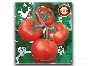 �����214-���ѷN��-�����o(j��)�N��