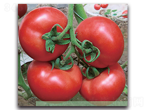 �����192-���ѷN��-�����o(j��)�N��