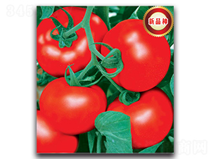 �����122-���ѷN��-�����o(j��)�N��