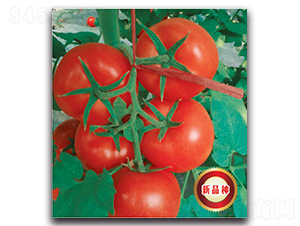 �����121-���ѷN��-�����o(j��)�N��