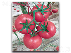 ���F��270-���ѷN��-�����o(j��)�N��