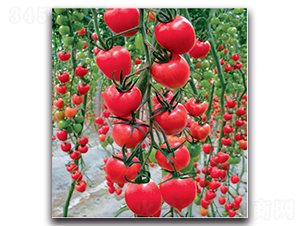 ��·�101-���ѷN��-�����o(j��)�N��