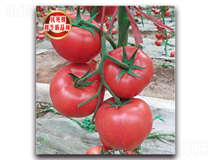 TMP18326-���ѷN��-�����o(j��)�N��