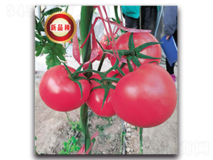 TMP17191-���ѷN��-�����o(j��)�N��