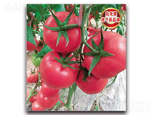 TMP17179-���ѷN��-�����o(j��)�N��