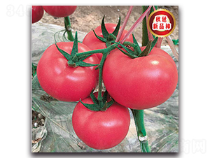 TMP17175-���ѷN��-�����o(j��)�N��