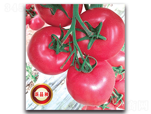 TMP16451-���ѷN��-�����o(j��)�N��