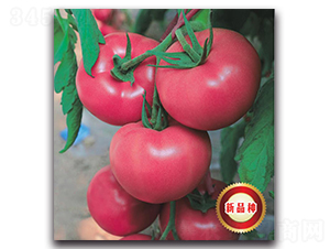 TMP16441-���ѷN��-�����o(j��)�N��