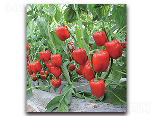 ���o(j��)��1463-�����N��-�����o(j��)�N��