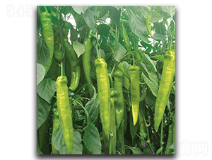 HP1728-�����N��-�����o(j��)�N��