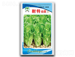 ����-�ײ˷N��-��ʢ�@