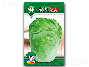 �P��366-�ײ˷N��-��ʢ�@