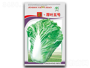 ����~��̖(h��o)-�ײ˷N��-��ʢ�@