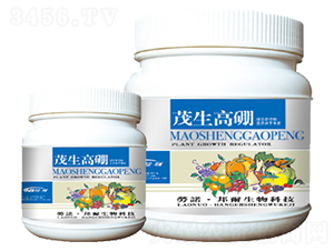 ï�����-������