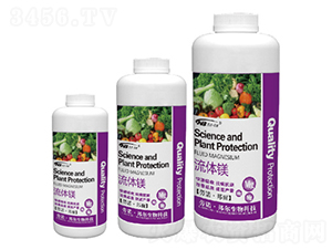 ���w�V-������