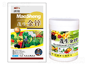 ï�����\-������