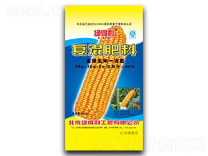 ���׌��Ï�(f��)�����25-10-5-�G����