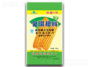 ���׌��Ï�(f��)�����24-6-10-�G����