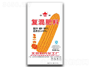 ���׌��Ï�(f��)�����23-8-11-�G����