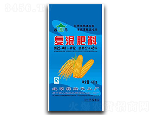 ���׌��Ï�(f��)�����22-11-12-�G����