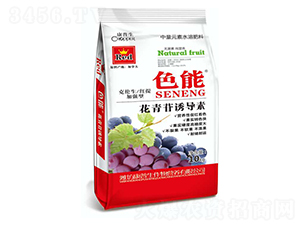 �������T��(d��o)��-ɫ��-������