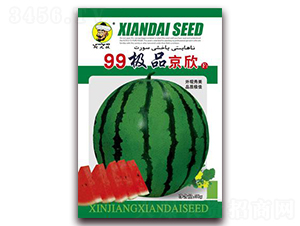 99����-���ϷN��-�F(xi��n)���N�I(y��)