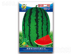 ��(y��u)��̖-���ϷN��-�F(xi��n)���N�I(y��)