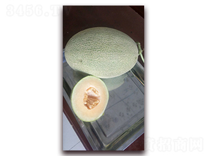 ��ؐ��̖-��ϷN��-�F(xi��n)���N�I(y��)