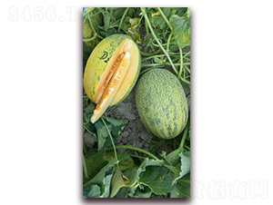 ����25̖-��ϷN��-�F(xi��n)���N�I(y��)