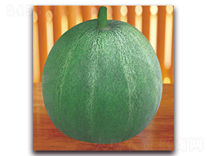 ������-��ϷN��-����