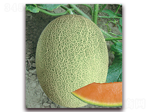 ���@25-��ϷN��-����