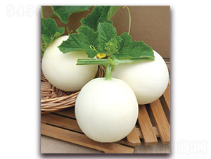 �ʺ�-��ϷN��-����