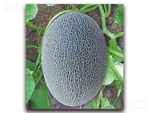 ���@17̖-��ϷN��-����