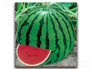 ���84-24-���ϷN��-����