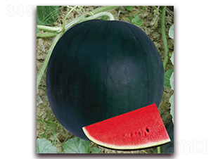 ī��-���ϷN��-����