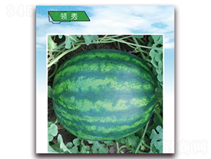 �I(l��ng)��-���ϷN��-����