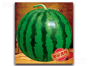 �����I(l��ng)��-���ϷN��-����