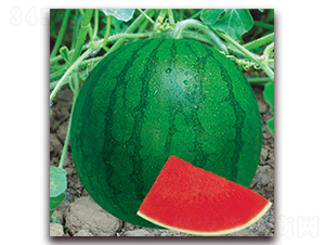 ��һ̖-���ϷN��-����