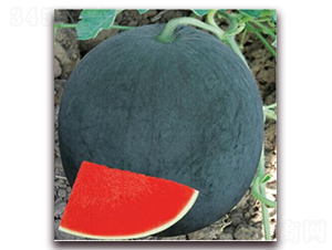 ����һ̖-���ϷN��-����