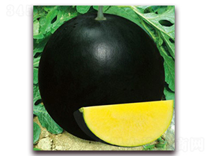 ��ɳ��-���ϷN��-����